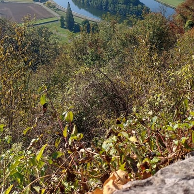 20261004 07